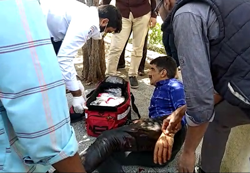 زخمی شدن یک نفر بر اثر حمله گراز در میناب