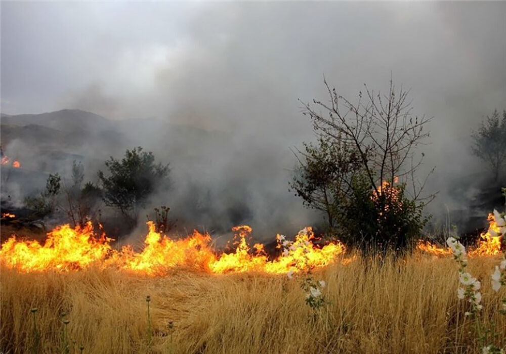 آتش ۱۰۰هکتار از باغ‌های میناب را سوزاند