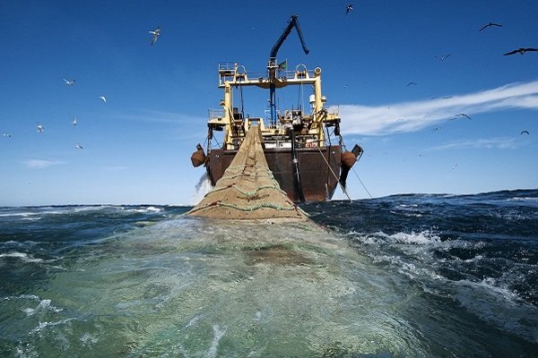 توقیف ۳فروند شناور صیادی ترال و کشف بیش از ۴۰تن ماهی در خلیج فارس