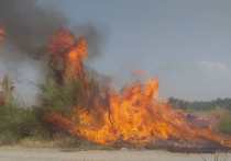 وقوع آتش سوزی در یازده منطقه شهرستان میناب