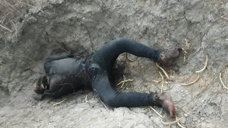 کشف جسد مردی با دستان بسته در جنگل های میناب + فیلم