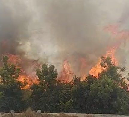آتش سوزی در ایستگاه تحقیقات کشاورزی و منابع طبیعی میناب + فیلم