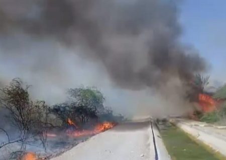 مهار آتش سوزی در باغ های بخش مرکزی میناب