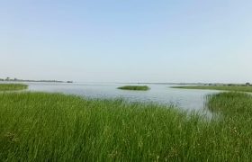 فیلم | تصاویری بسیار زیبا از دریاچه فصلی روستای کولغ کلم سنگکی میناب