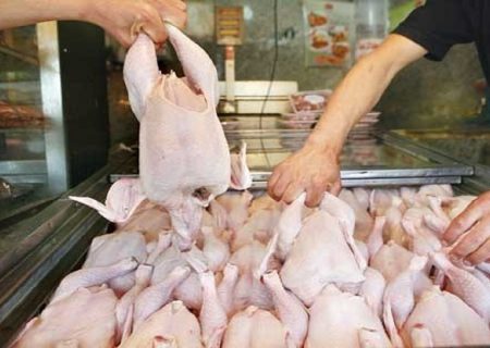 تولید گوشت مرغ مازاد بر نیاز هرمزگان