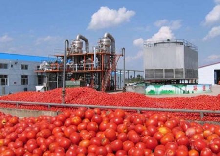 کارخانه رب گوجه و صنابع تبدیلی در هشتبندی ساخته می شود