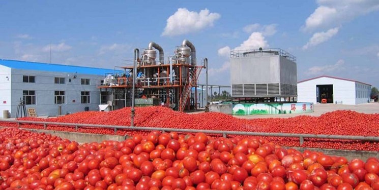 کارخانه رب گوجه و صنابع تبدیلی در هشتبندی ساخته می شود