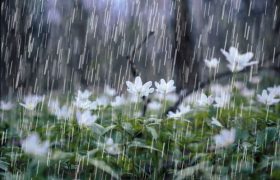 بارش باران بهاری در هرمزگان