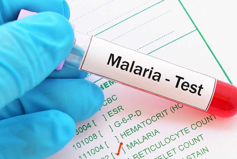 افزایش قابل توجه موارد مثبت مالاریا در هرمزگان