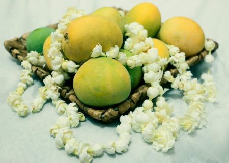 نهمین جشنواره انبه و یاسمین گل در میناب برگزار می شود