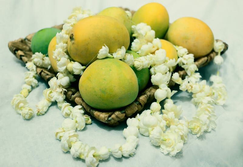 نهمین جشنواره انبه و یاسمین گل در میناب برگزار می شود