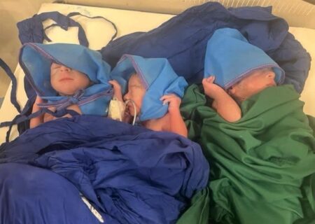 تولد ۳ قلوهای لیردفی در بیمارستان جاسک