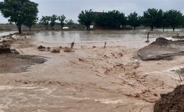 جان باختگان بارندگی در هرمزگان به چهار نفر رسید/ ارتش ناجی ۳ روستایی شد