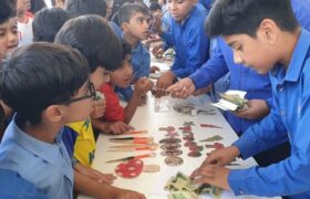راه اندازی بازارچه کار آفرینی و دست سازه های دانش آموزی در میناب + عکس