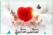 اهدای عضو جوان ۳۴ ساله مینابی به بیماران نیازمند