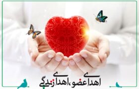 اهدای عضو جوان ۳۴ ساله مینابی به بیماران نیازمند