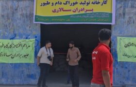 افتتاح کارخانه خوراک دام و طیور در روستای چراغ‌آباد بخش توکهور و هشتبندی