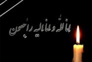 فوت حافظ قرآن هرمزگانی در سفر کربلا