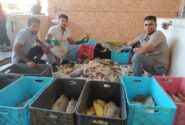 بازار ماهی میناب؛ از گورزانگ تا پایتخت