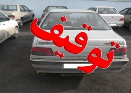 توقیف ۱۹ خودروی متخلف در جایگاه‌های سوخت جاسک