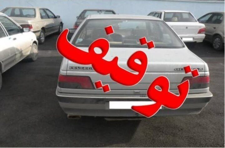 توقیف ۱۹ خودروی متخلف در جایگاههای سوخت جاسک
