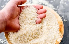 کمبود برنج پاکستانی در هرمزگان به‌زودی برطرف می‌شود