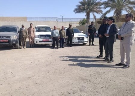 طرح جمع آوری شترهای سرگردان در شهرستان جاسک آغاز شد