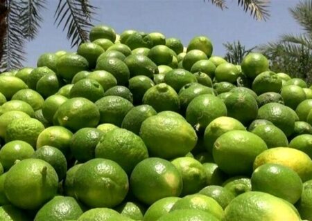 توقیف خودرو حامل لیمو خارجی قاچاق در میناب