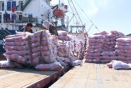 تخلیه و بارگیری هزار و ۲۰۰ تن برنج پاکستانی در هرمزگان