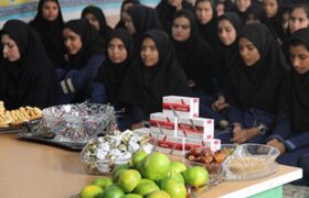 توزیع قرص فرفولیک و ویتامین D در مدارس میناب