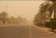 هشدار سطح زرد هواشناسی/ احتمال وقوع گردوخاک در مناطق شرقی هرمزگان