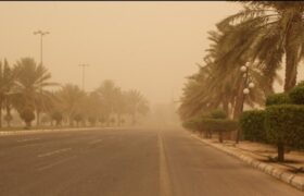 هشدار سطح زرد هواشناسی/ احتمال وقوع گردوخاک در مناطق شرقی هرمزگان