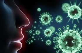 موج جدید آنفلوانزا هرمزگان را درگیر کرده است