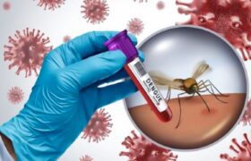 گسترش هم‌زمان ویروس‌های آنفلوآنزا و دنگی در هرمزگان