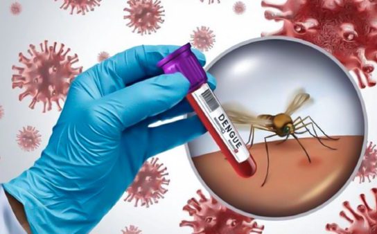 گسترش هم‌زمان ویروس‌های آنفلوآنزا و دنگی در هرمزگان