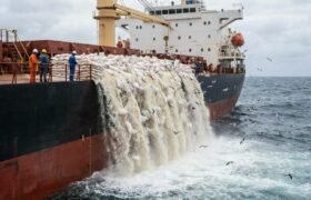 رییس کل دادگستری هرمزگان: ادعای ریختن برنج در دریا صحت ندارد