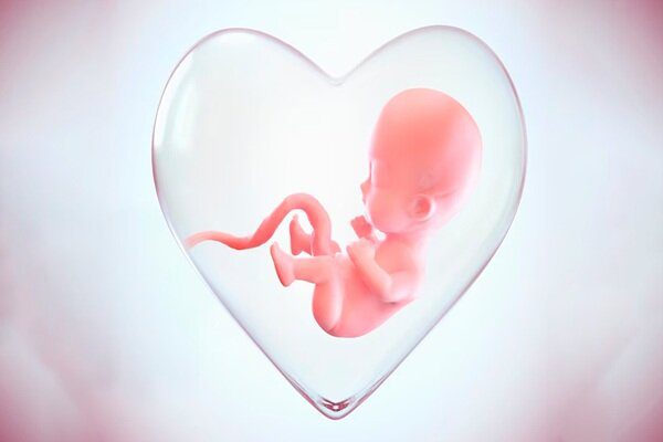 آغاز به‌کار مرکز «نفس» در میناب 