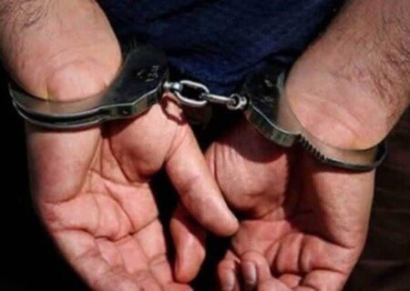 دستگیری کلاهبردار حرفه‌ای محصولات کشاورزی در میناب