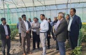 فرماندار رودان بر ساماندهی حریم رودخانه آب‌نما و حمایت از کشاورزان تأکید کرد