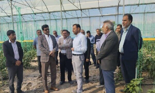 فرماندار رودان بر ساماندهی حریم رودخانه آب‌نما و حمایت از کشاورزان تأکید کرد