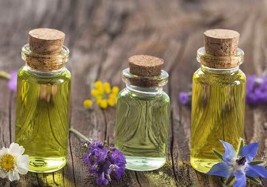 سطح زیر کشت گیاهان دارویی هرمزگان به ۸۰۰ هکتار افزایش مییابد