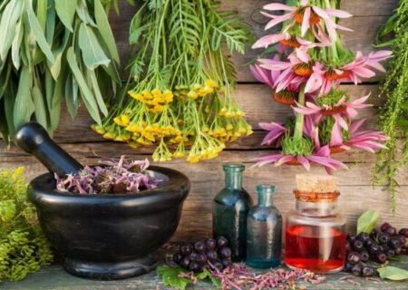 اجرای پایلوت کشت گیاه دارویی مرزنجوش در بندرعباس