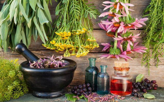 اجرای پایلوت کشت گیاه دارویی مرزنجوش در بندرعباس