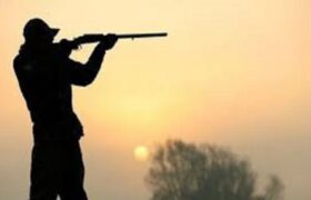 شکارچی متخلف در بشاگرد دستگیر شد