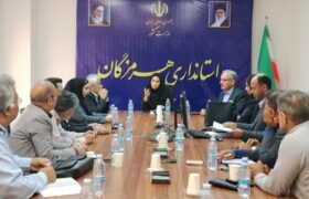 نمایشگاه‌داران خودرو در اولویت انتقال از سطح شهر بندرعباس