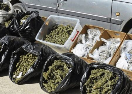 ناکامی قاچاقچی مواد مخدر در انتقال ۴۷ کیلوگرم ماده مخدر گل در هرمزگان