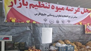آغاز توزیع میوه ویژه ایام پایانی سال با نرخ تنظیم بازاری در هرمزگان